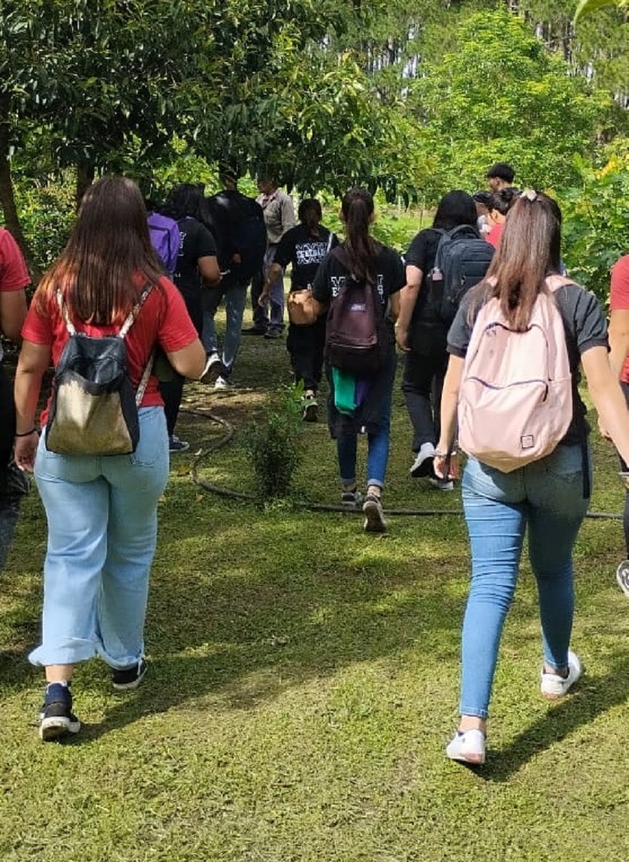 Estudiantes de Escuela de Comercio plantaron 22 árboles en su patio
