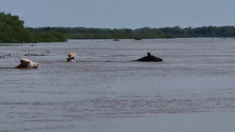 Encontraron el cuerpo de un hombre que se ahogó en el Río Paraná