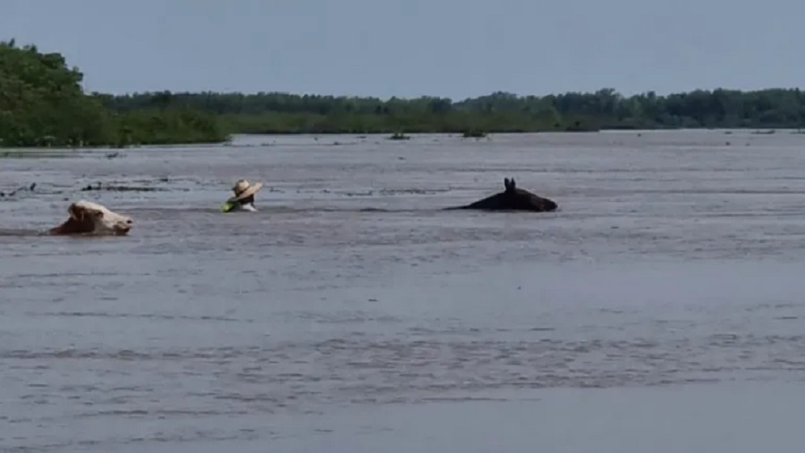 Encontraron el cuerpo de un hombre que se ahogó en el Río Paraná