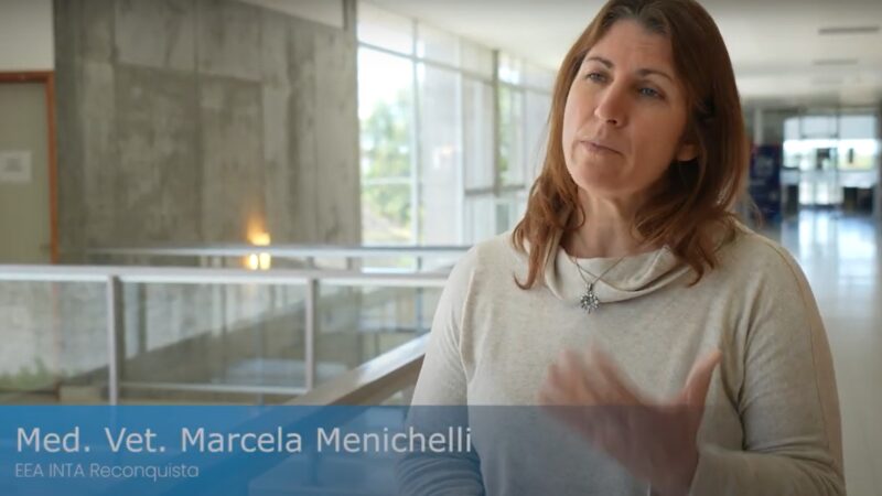 «Anticiparse es una de las claves para minimizar los impactos de la crecida»