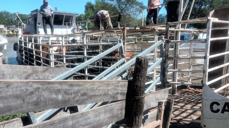 CRECIDA DE PARANÁ: El nivel del río en Reconquista crece 14 centímetros por día
