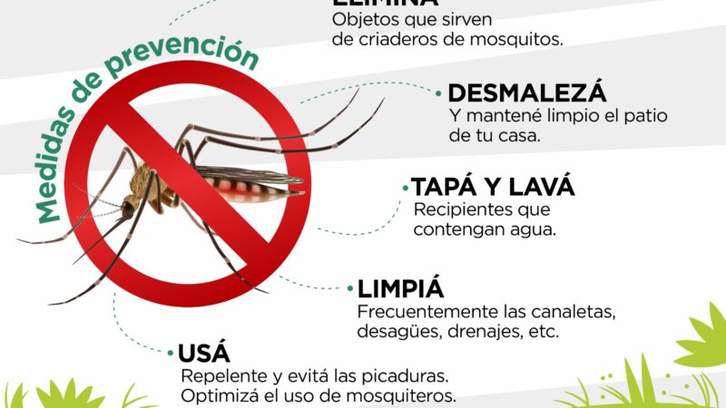 Avellaneda: Realizan fumigaciones en plazas y escuelas para prevenir el dengue
