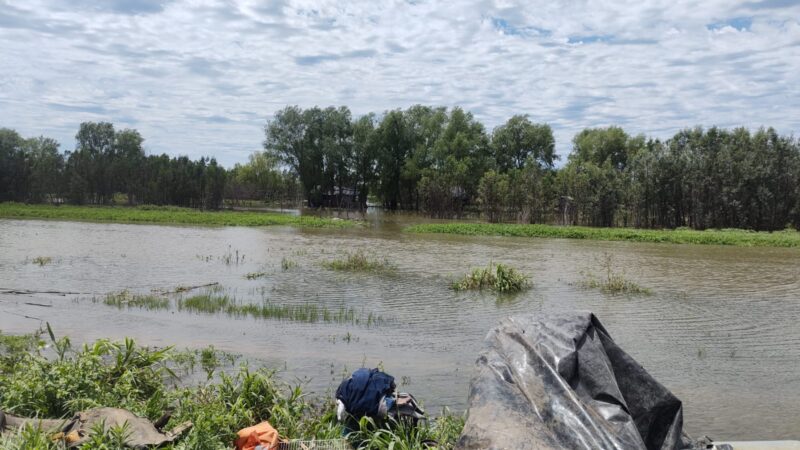 Reconquista: evacuaron a 3 personas en zona de isla por la crecida del Paraná