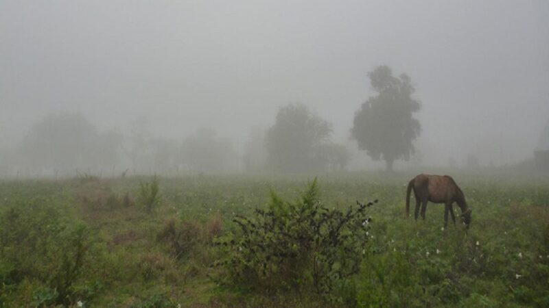 Proyecta un panorama de lluvias y mucho calor en el norte de Santa Fe
