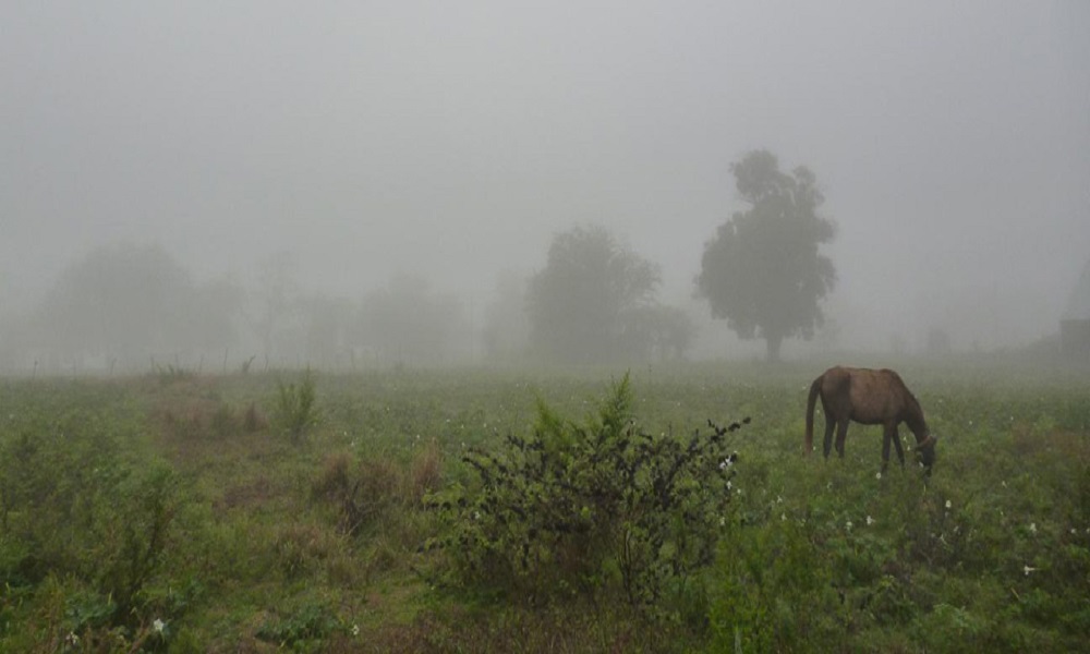 Proyecta un panorama de lluvias y mucho calor en el norte de Santa Fe