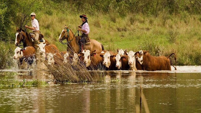 Rosgan: positivo el primer año de Milei, faltan correcciones
