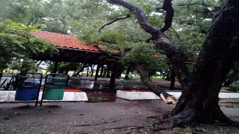 Cerraron el Camping municipal «Los Tatané» ¿Cuál es el motivo?