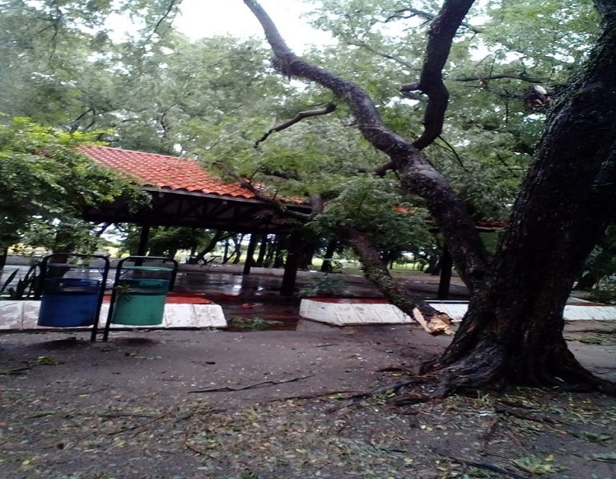 Cerraron el Camping municipal «Los Tatané» ¿Cuál es el motivo?