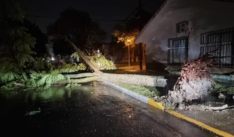 Graves daños provocó un temporal en Reconquista y Avellaneda ¿Dónde hago reclamos?