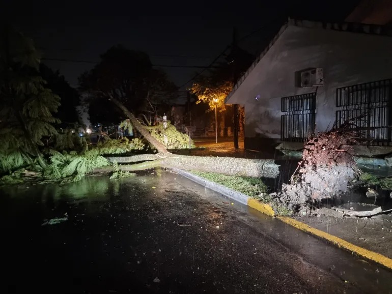 Graves daños provocó un temporal en Reconquista y Avellaneda ¿Dónde hago reclamos?