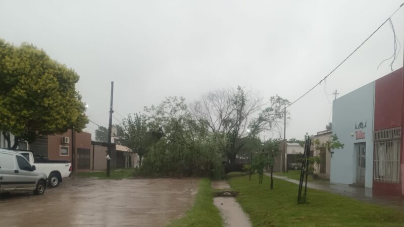 Reconquista: Denuncian caída de arboles, cables cortados y calles intransitables en los barrios