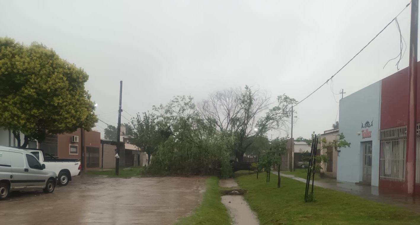 Reconquista: Denuncian caída de arboles, cables cortados y calles intransitables en los barrios