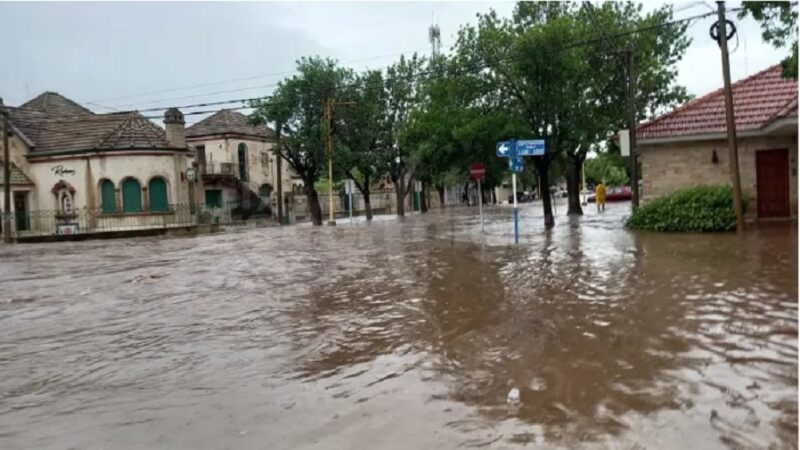 VIDEO | El trébol bajo agua luego que llovieron más de 200 milímetros