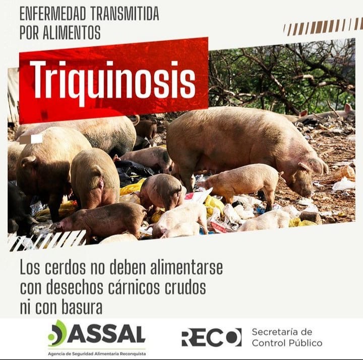 Recomendaciones para prevenir la Triquinosis