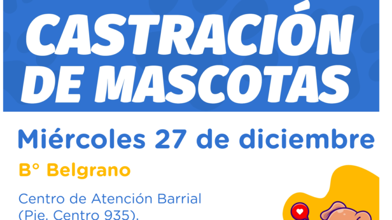 Castración de mascotas: La última del año se hará en B° Belgrano