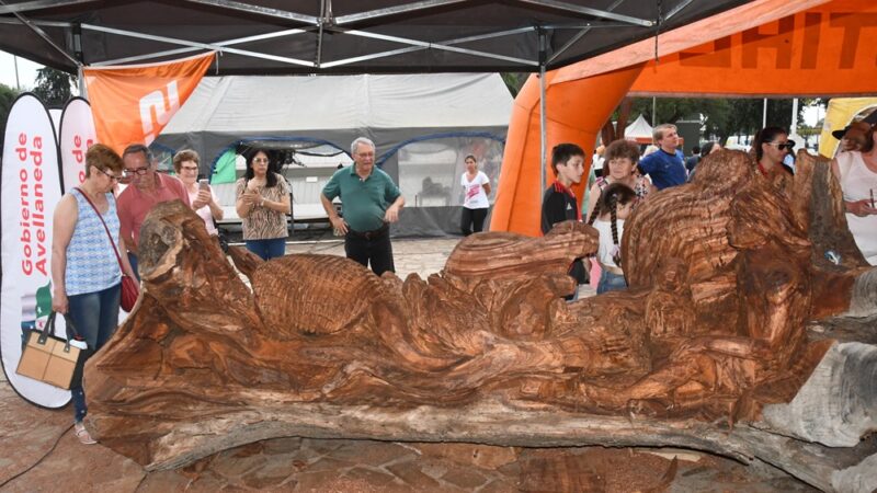 Avellaneda: Visita guiada por la galería de esculturas del Simposio