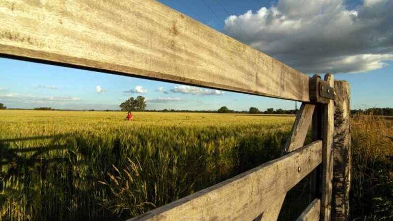 Santa Fe: beneficios para Impuesto Inmobiliario Rural
