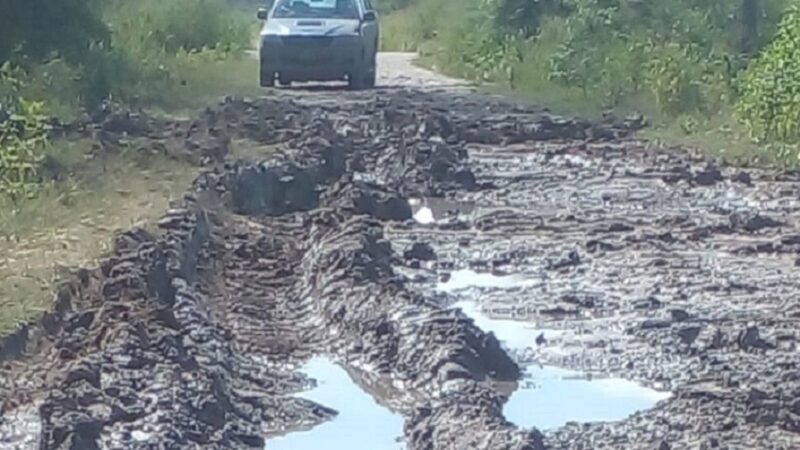 La Sarita: el camino que llega hasta el paraje la Selva está clausurado