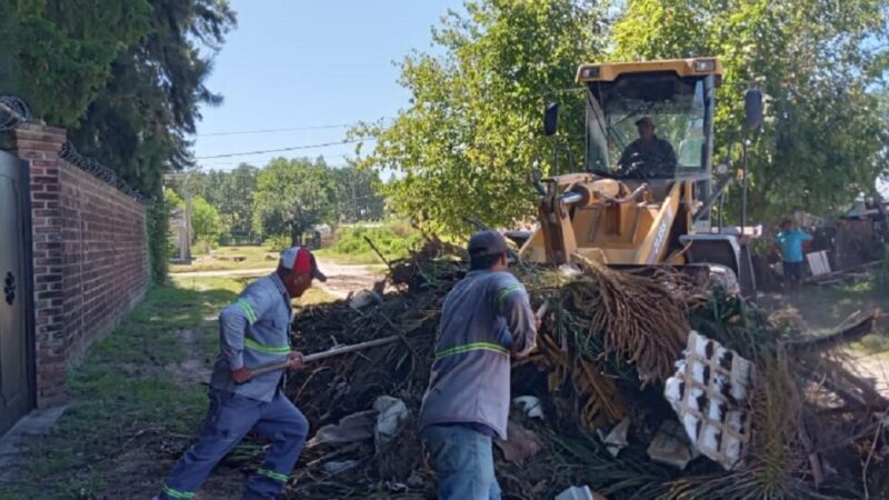 Dónde continúan los trabajos de recolección y limpieza este martes 30