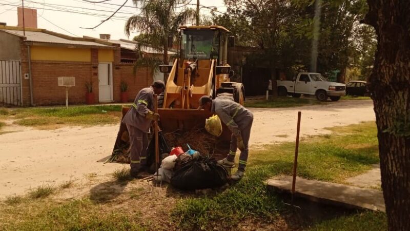 Trabajos de recolección, limpieza y reparación martes 20 de febrero