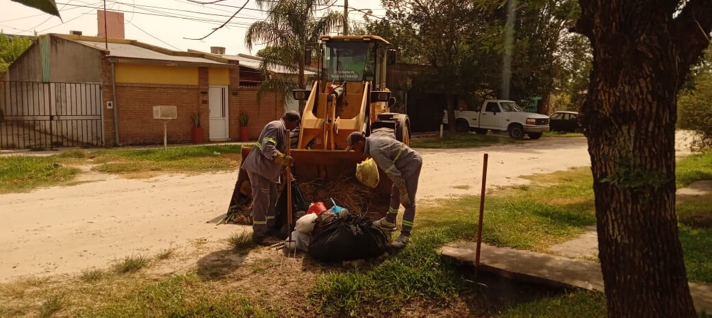 Trabajos de recolección, limpieza y reparación martes 20 de febrero