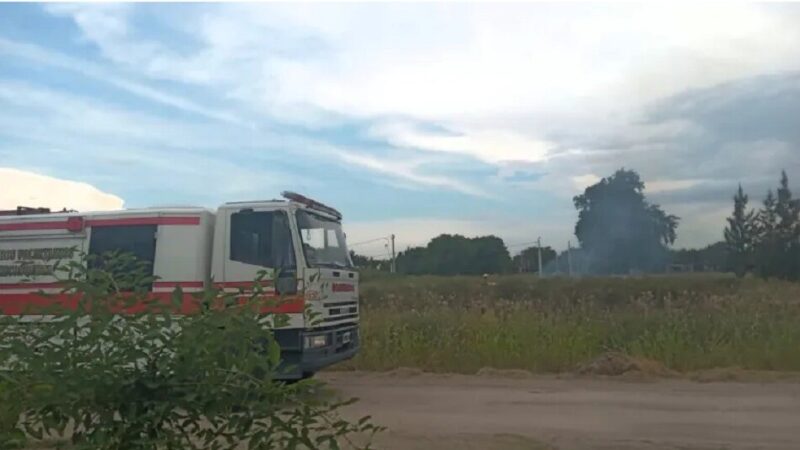 Bomberos de Reconquista apagaron un àrbol que se prendió fuego