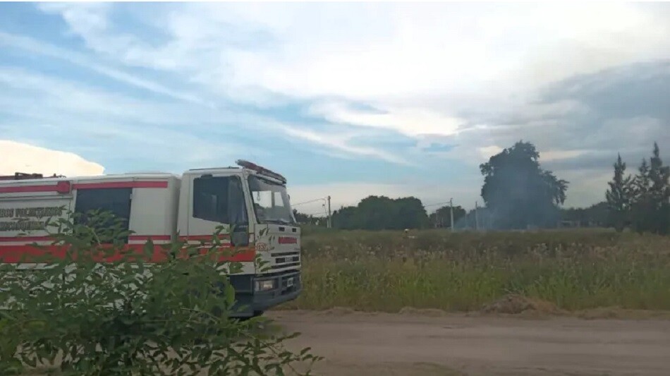 Bomberos de Reconquista apagaron un àrbol que se prendió fuego
