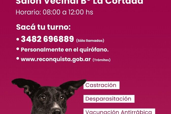 Quirófano móvil de sanidad animal en Reconquista ¿Dónde atiende?
