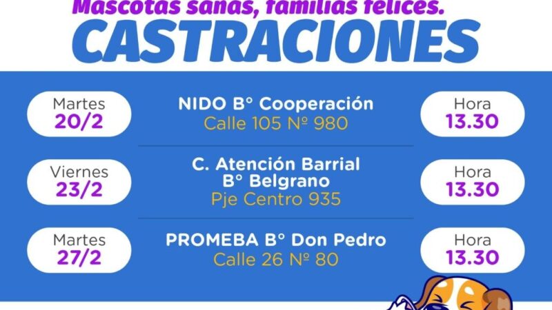 Castración de mascotas: turnos disponibles en Avellaneda