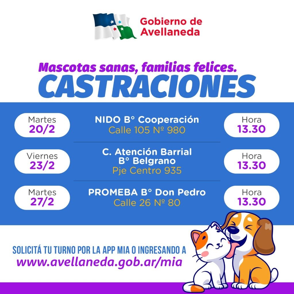 Castración de mascotas: turnos disponibles en Avellaneda
