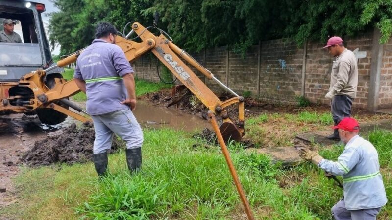 Trabajos de recolección y limpieza del lunes 18 de marzo