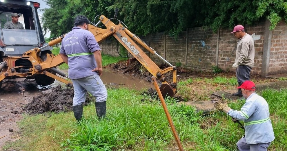 Trabajos de recolección y limpieza del lunes 18 de marzo