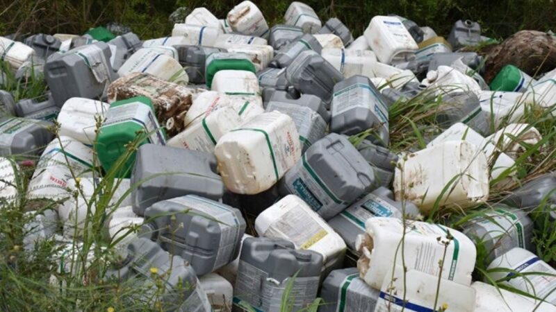 Malabrigo: Jornada para llevar envases vacíos de fitosanitarios