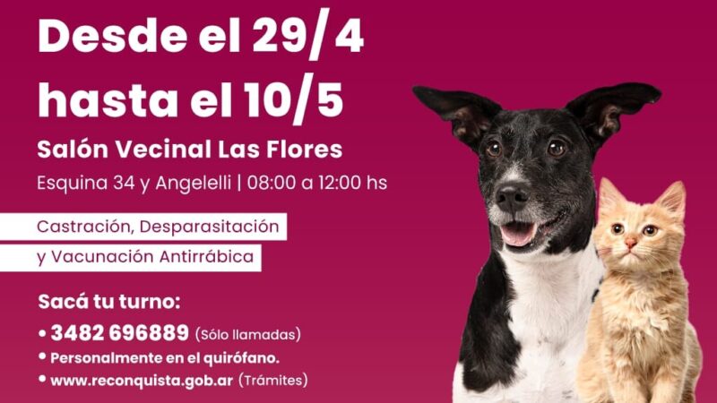 Reconquista: Dónde estará el quirófano móvil en la semana del animal