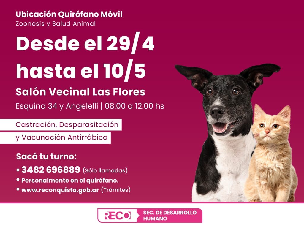 Reconquista: Dónde estará el quirófano móvil en la semana del animal