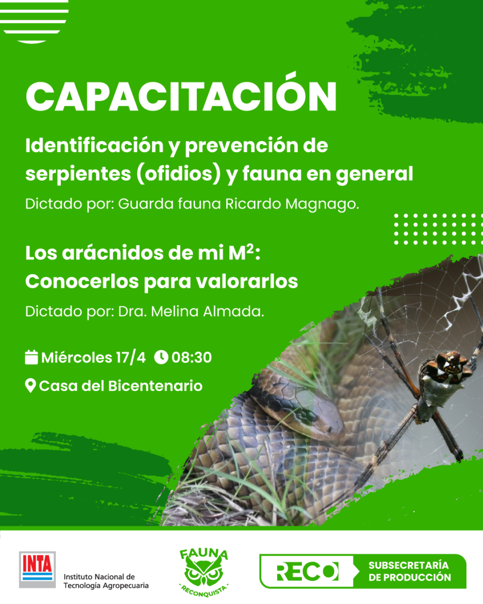 Jornada educativa: Identificación y prevención de serpientes y arácnidos