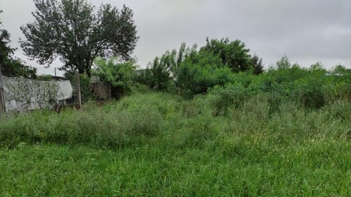 Reconquista: Continúan las denuncias por terrenos abandonados