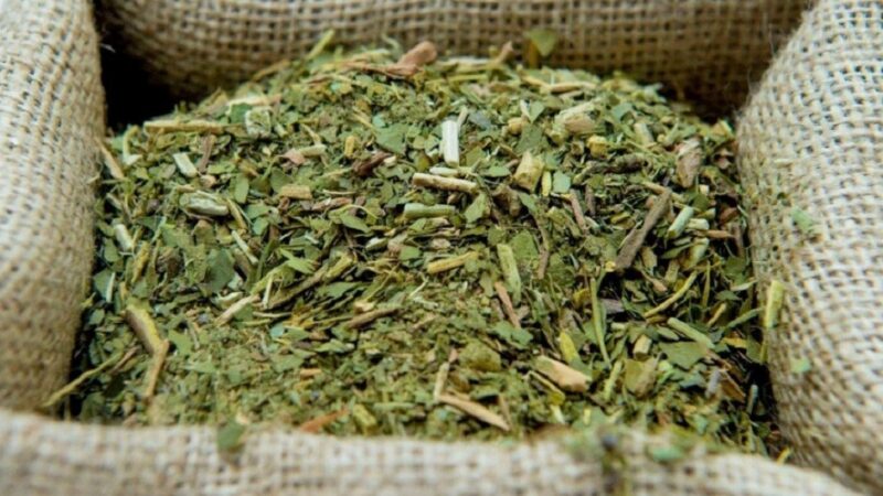 Julio Peterson: «La yerba importada está excedida en metales pesados»