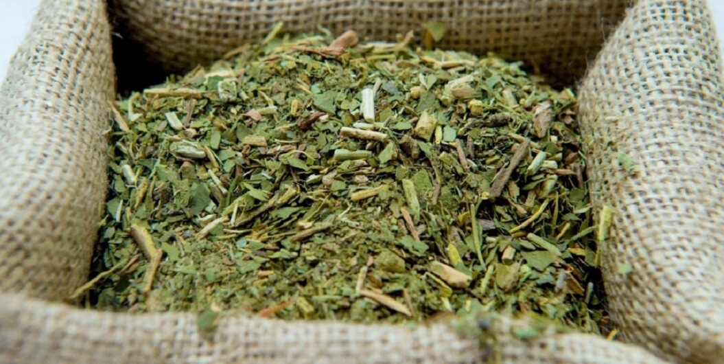 Julio Peterson: «La yerba importada está excedida en metales pesados»