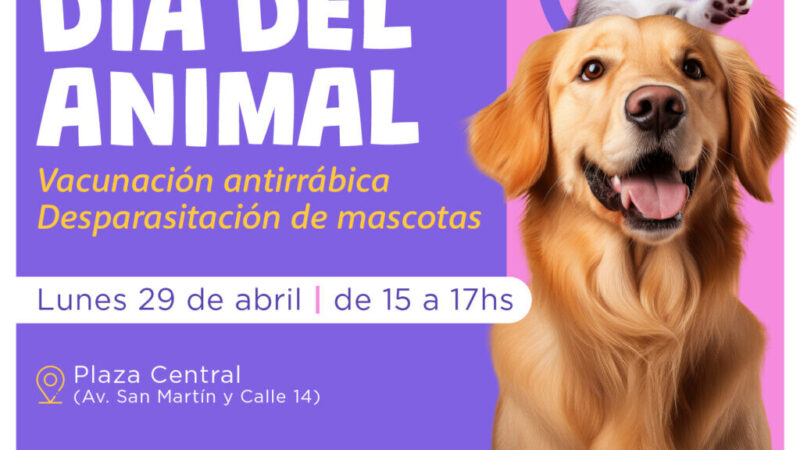 Avellaneda celebra el Día del animal con acciones de salud para las mascotas
