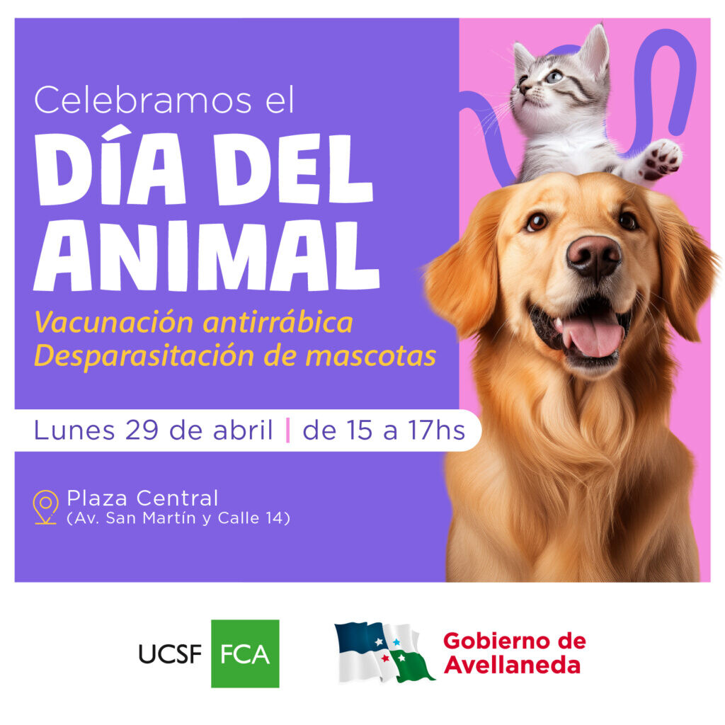 Avellaneda celebra el Día del animal con acciones de salud para las mascotas