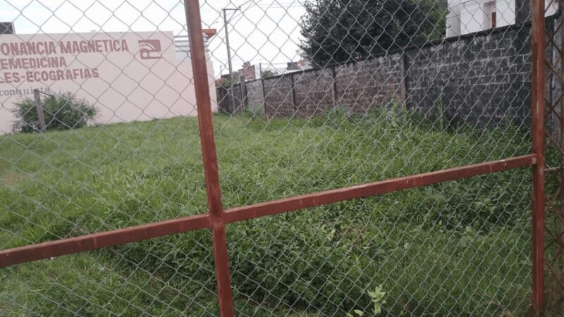 Continúan las denuncias por terrenos faltos de higiene