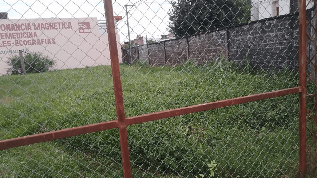 Continúan las denuncias por terrenos faltos de higiene