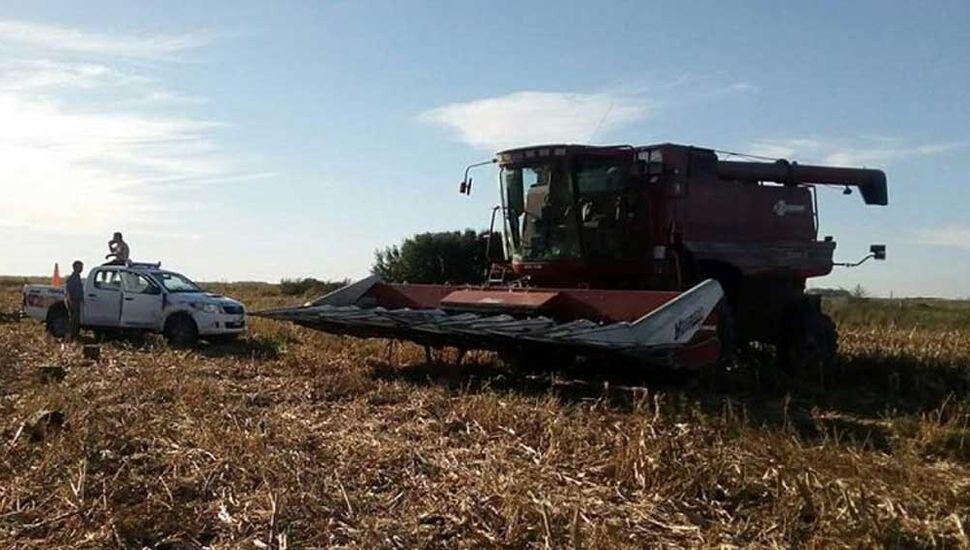 Alejandra: trabajador rural fue arrollado por una cosechadora