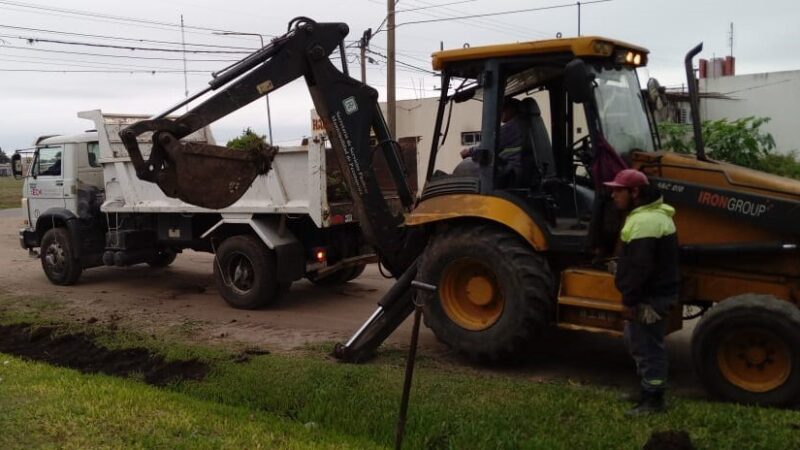 Trabajos de recolección y limpieza al viernes 24 de mayo