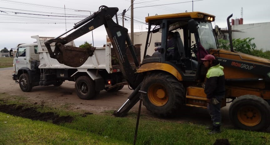 Tareas de recolección, limpieza y reparación para este 29 de mayo