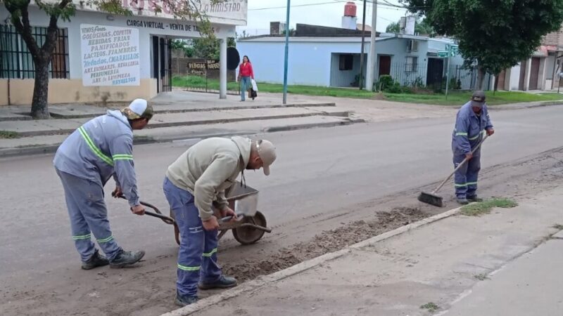 Trabajos de recolección y limpieza semana al viernes 3 de mayo