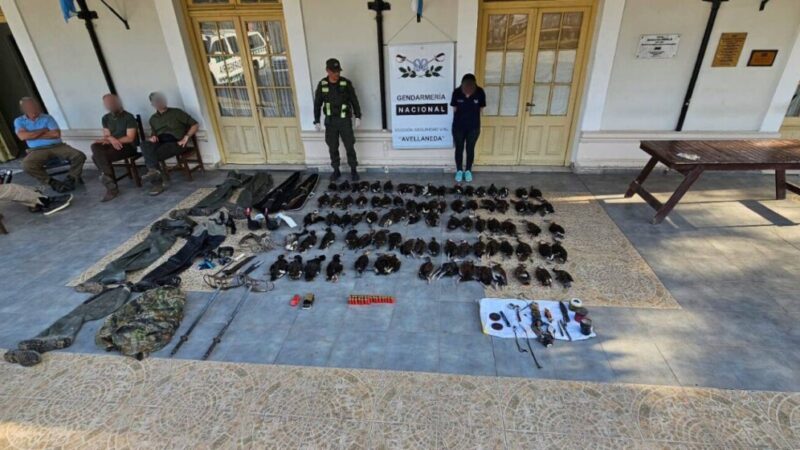 Transportaban ilegalmente 84 patos silvestres en una camioneta