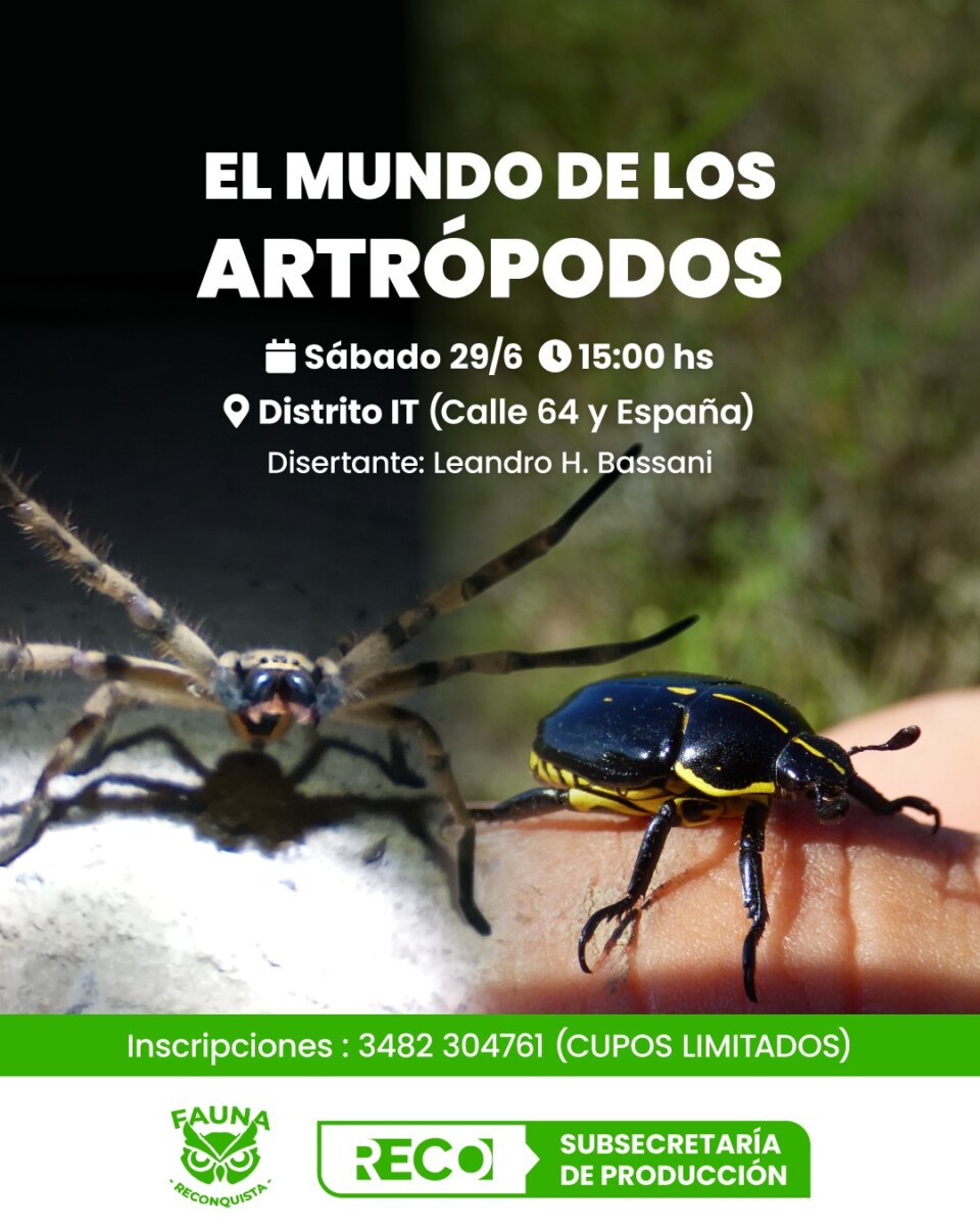 Explorando el mundo de los Artrópodos del Jaaukanigás
