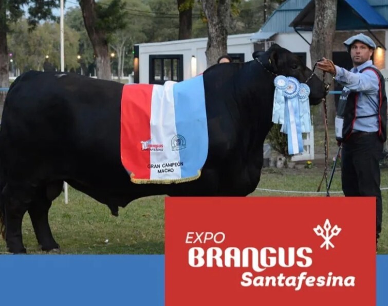 Reconquista: anunciaron la Expo Santafesina de Brangus 2024